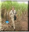 探地雷達土壤污染調查Grounddetection