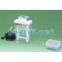AE-6541 isc Gel EP Kit (discRun)垂直電泳槽
