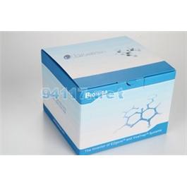 ECL808-25ECL超敏發(fā)光液