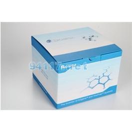 快速質(zhì)粒中提試劑盒PD1468-01
