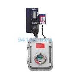 902 H2S 總硫分析儀