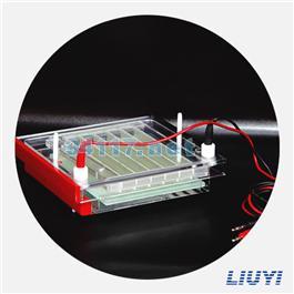 DYCZ-20E型DNA序列分析電泳槽
