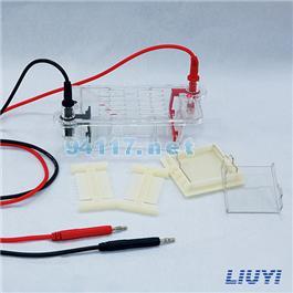 DYCP-31DN型瓊脂糖水平電泳儀(小號(hào))