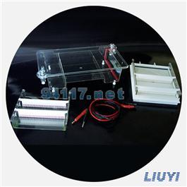 DYCP-31E型瓊脂糖水平電泳儀(中號(hào))